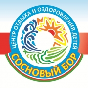 На базе Центра отдыха и оздоровления  &laquo;СОСНОВЫЙ БОР&raquo; создается &laquo;Международная Арктическая школа&raquo;