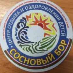 Инновационные технологии в системе дополнительного образования Центра &laquo;Сосновый бор&raquo;
